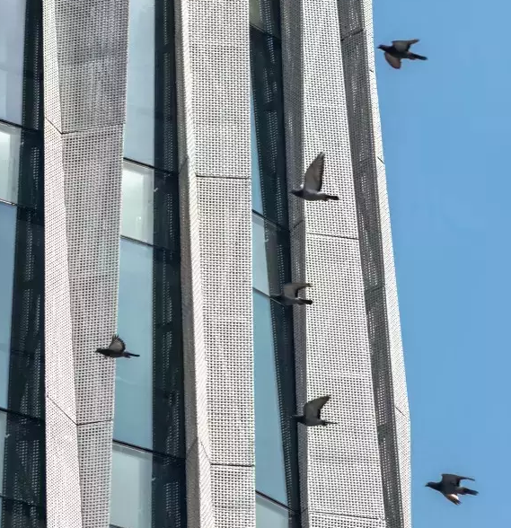 QQ图片20161212150514