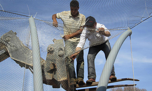 Stainless Steel Rope Mesh